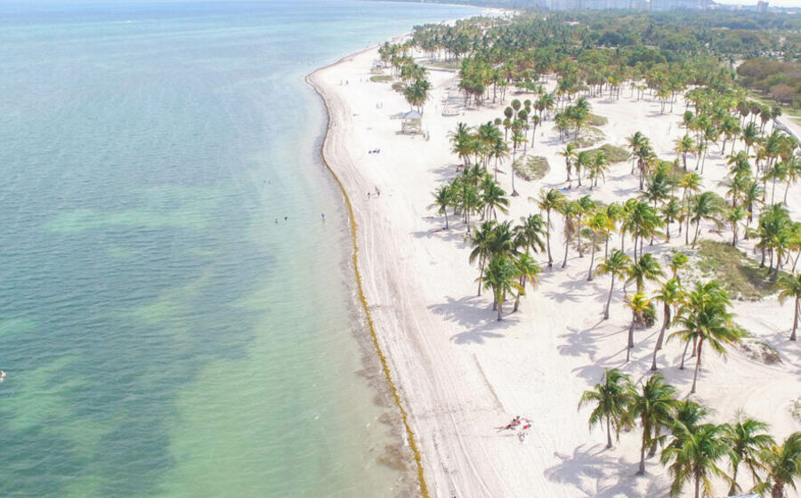 Aerial view of the palm-lined beach at Crandon Park
